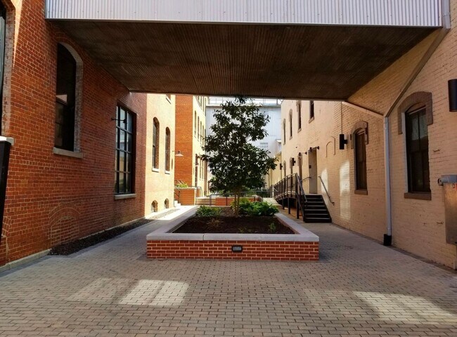 The Cameron Lofts