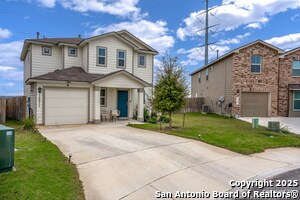 Photo - 15311 Olive Pigeon