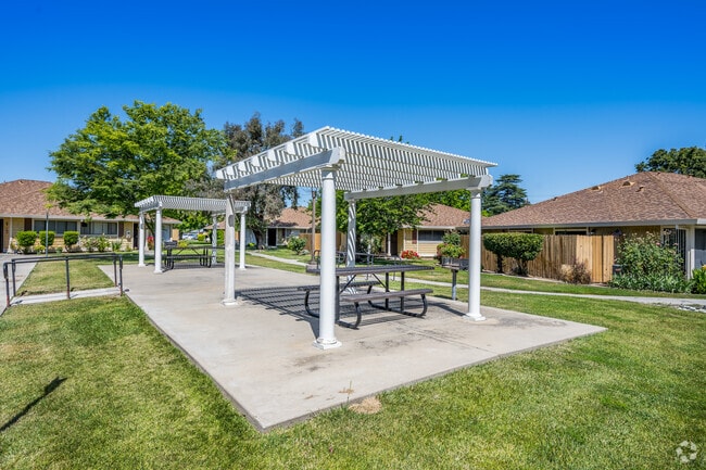 Outdoor Living BBQ