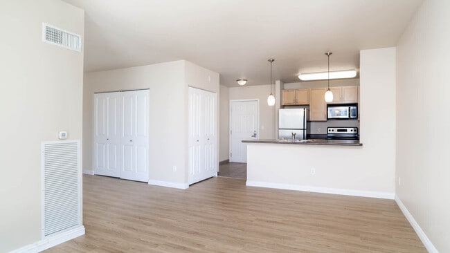 Studio with Hard Surface Flooring
