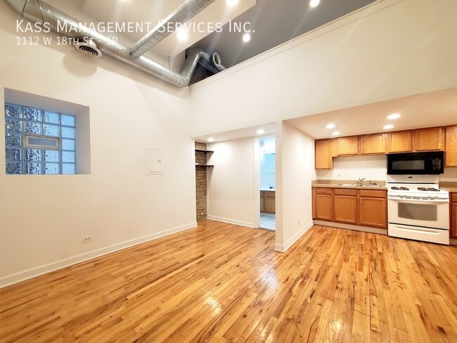 Spacious Pilsen 2 bedroom 1 bath with bonu... - Spacious Pilsen 2 bedroom 1 bath with bonu... Apartment Unit 1R