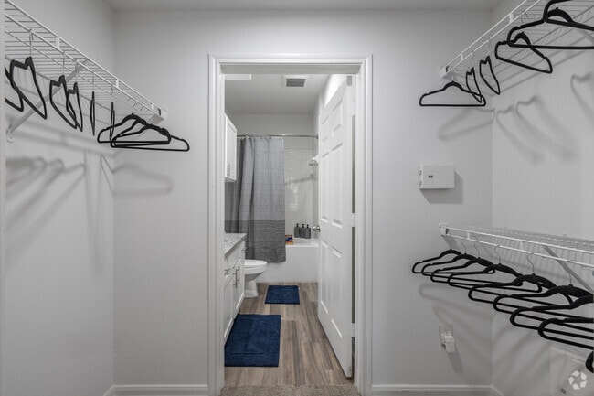1BR, 1BA - 674SF - Closet