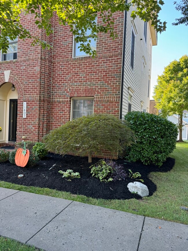 Photo - 11407 Iager Blvd