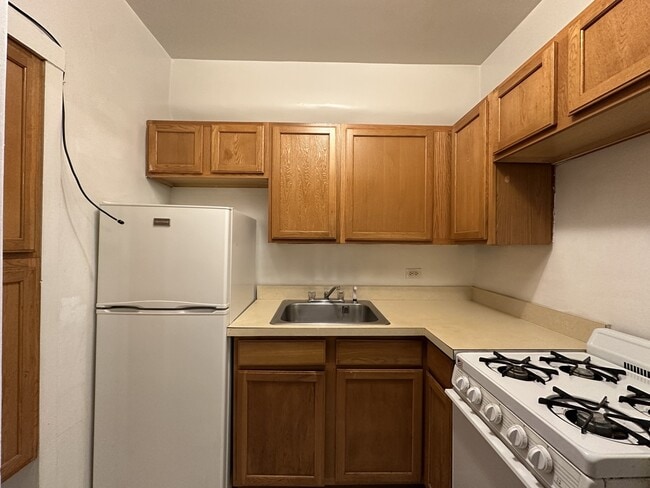 Photo - 1169 N Dearborn St Unit 113