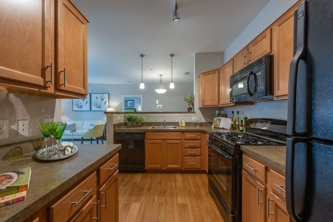 Building Photo - The Elms at Stoney Run Village Rental