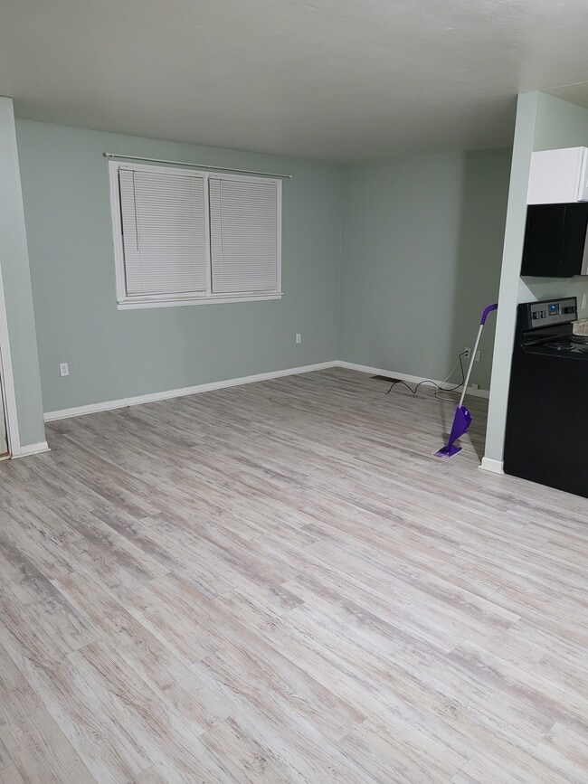 Photo - 209 W Green St