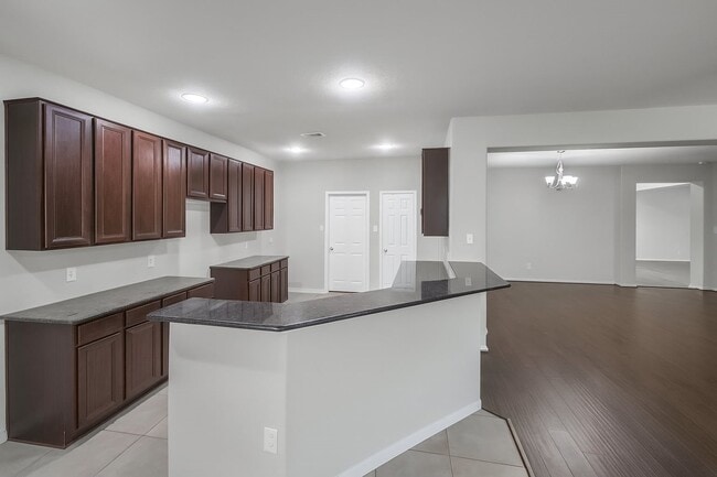 Photo - 4819 Ibis Lake Ct