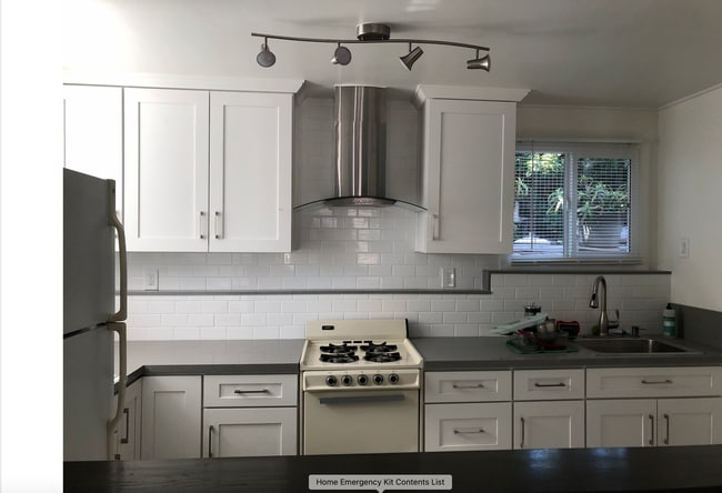 New shaker style cabinets, quartz counters, light fixture, etc. - 315 4th St