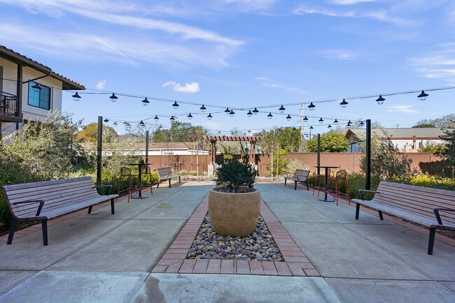 Photo - Siesta Senior Apartments