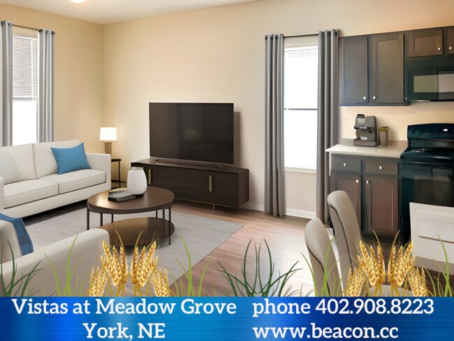 Photo - Vistas at Meadow Grove