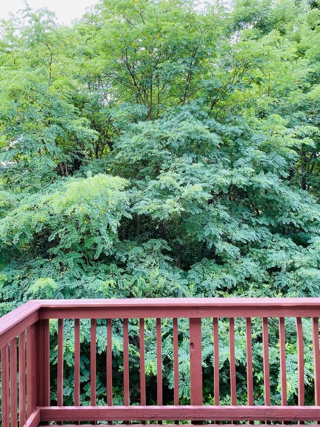 Photo - 3 bed/2bath Townhome freshly painted!