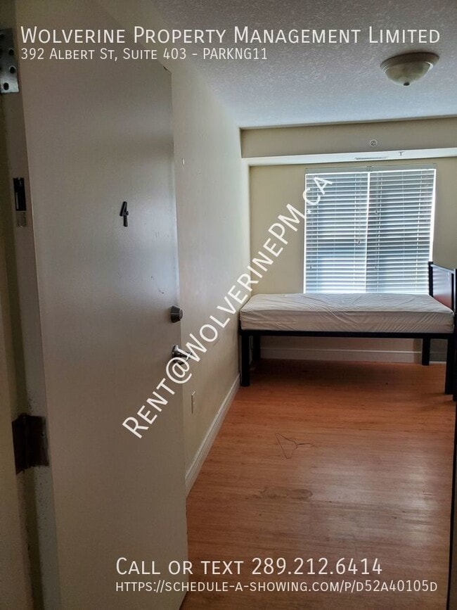 Photo - 392 Albert St