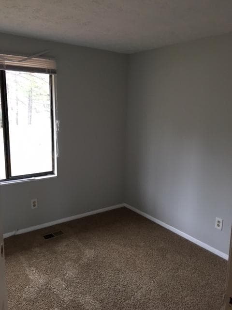 Photo - 3731 Bramblevine Cir