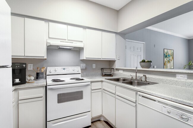 Photo - Westchase Forest