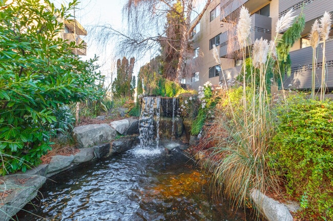 Photo - Marifield Park