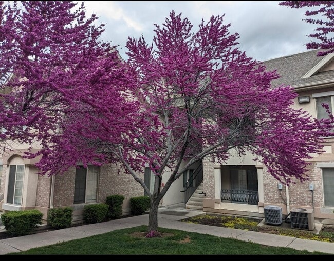 Building Photo - 543 N University Ave Unit 208