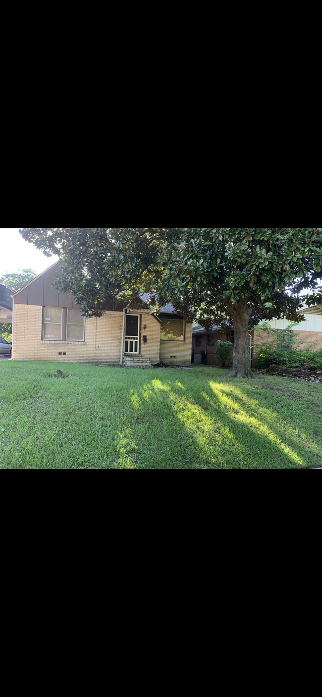 Front door/yard - 2004 N Palace Ave House