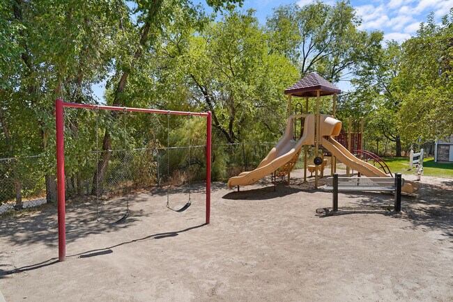 Play Area