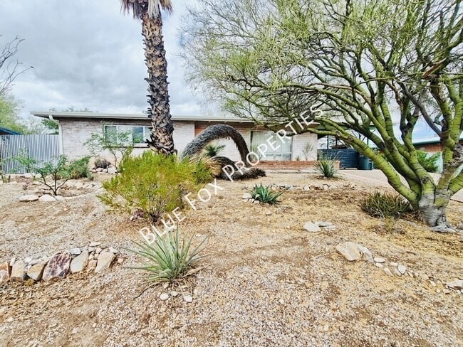 Building Photo - 633 N Avenida Calma