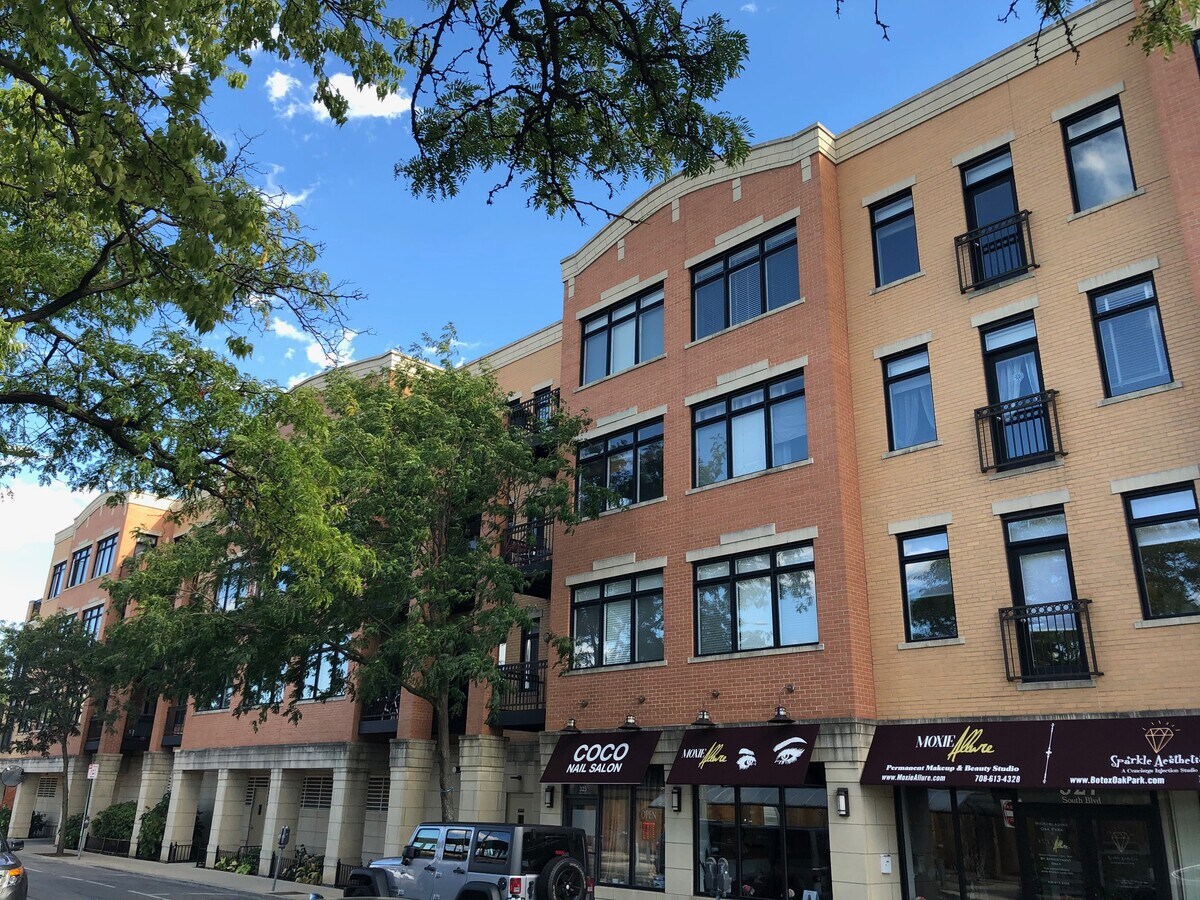 106 S Ridgeland Ave Condo Unit 303 Condo for Rent in Oak Park, IL
