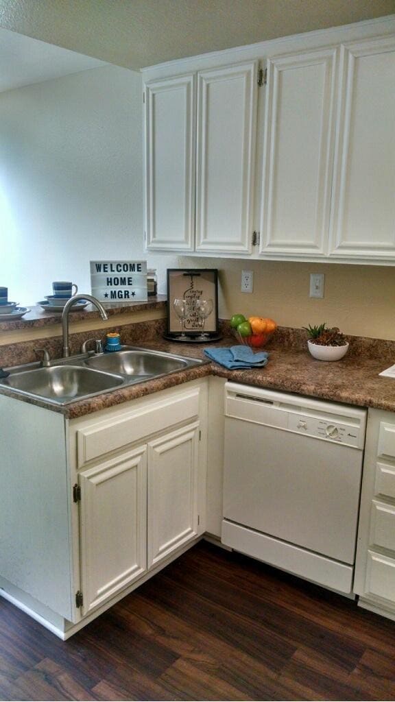 Palmetto Village Townhomes