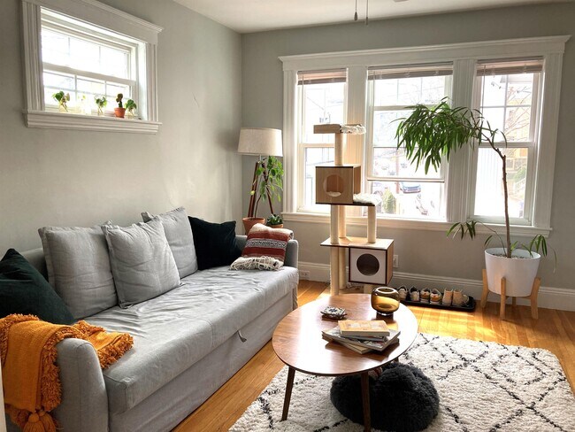 Photo - 50 Boylston St