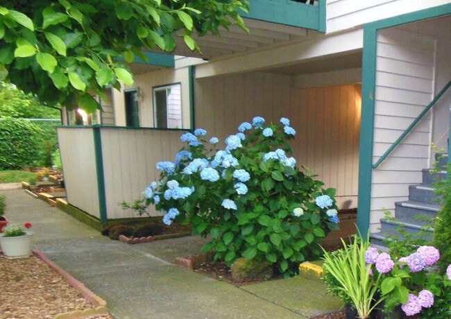 Photo - Tuscany Village