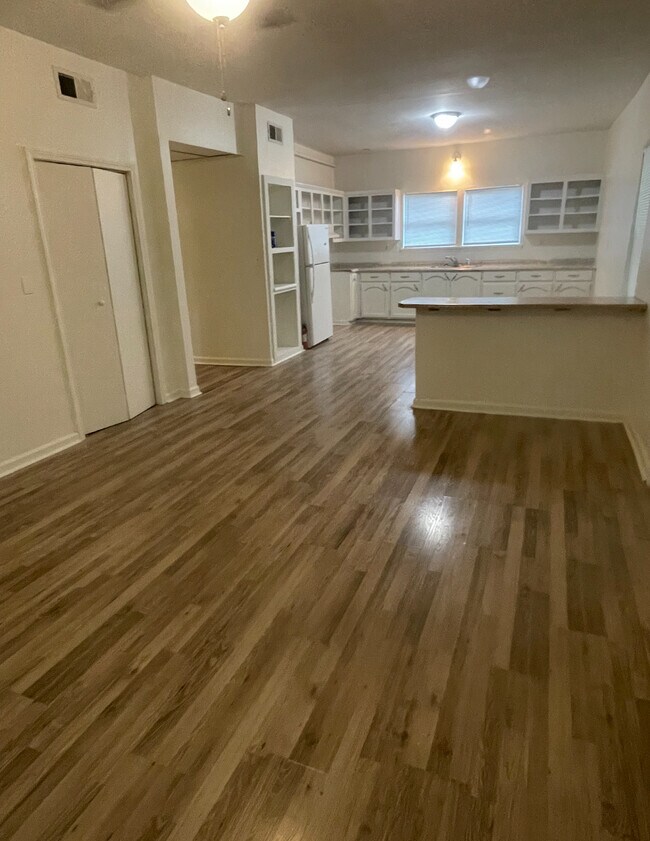 KITCHEN AND LIVING AREA - 102 Brink St Unit 1