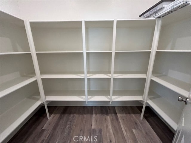 1714 Amaranthus Tree Pl