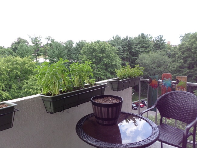 Photo - 2939 Van Ness St NW