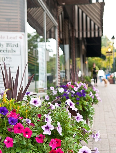 Parc at Maplewood