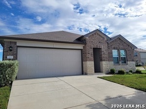 Photo - 800 Nodding Nixie