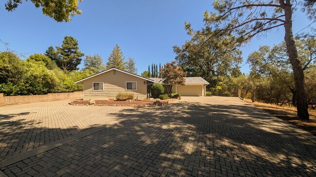 3581 Cercis Way