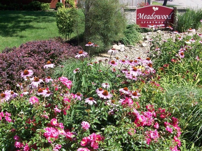 Meadowood Apartments - Meadowood Rental