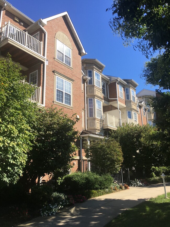 Building Photo - 201 Dey St Unit #175