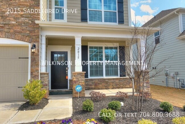 Photo - 2015 Saddlebred Dr