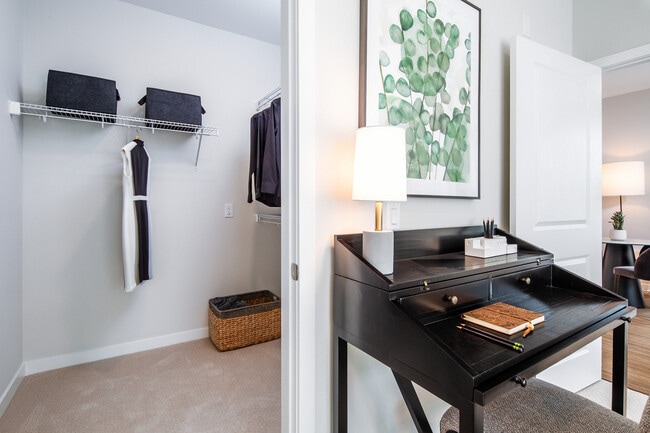 Design Collection II (South Building) Bedroom with walk-in closet