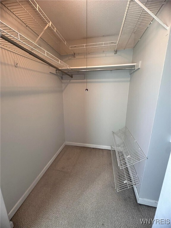 Photo - 69 Henel Ave