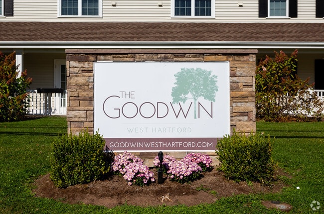 The Goodwin
