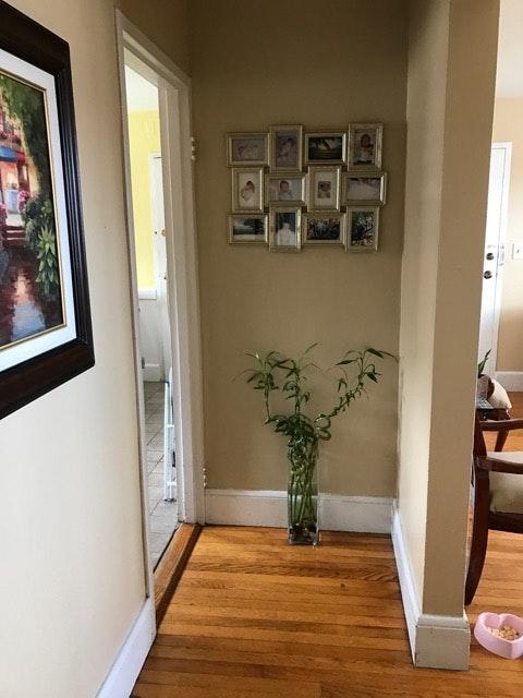 Photo - 461 Arborway Unit 2