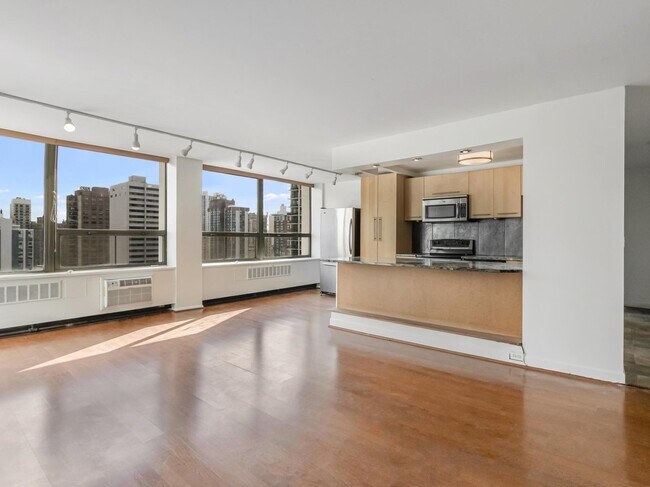 Photo - 1455 N Sandburg Terrace Unit 1904