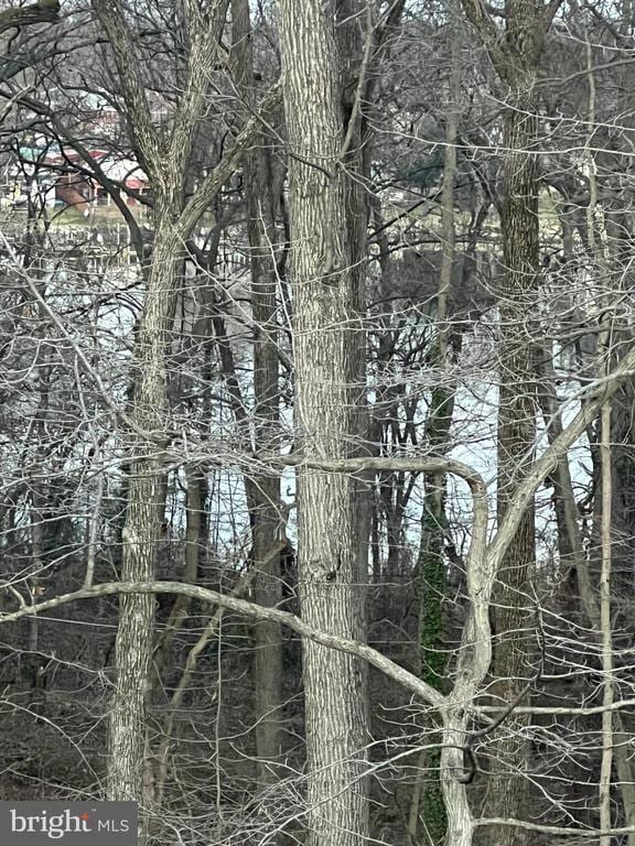 Photo - 304 Sweetbay Rd