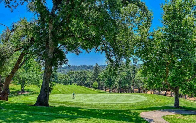 Photo - 19219 Ferretti Rd