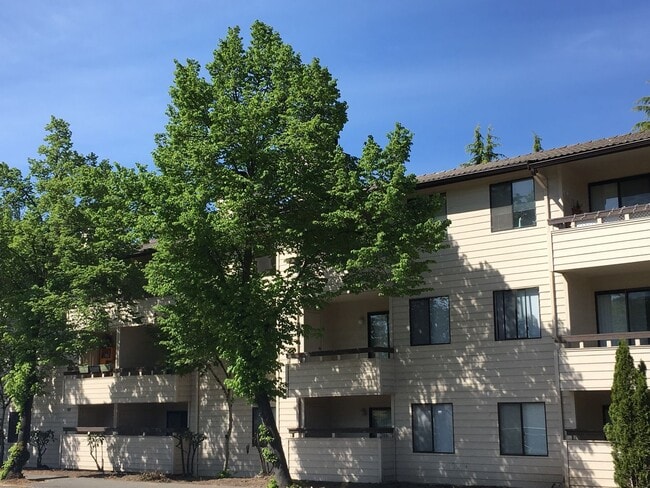 Photo - Jackson Greens