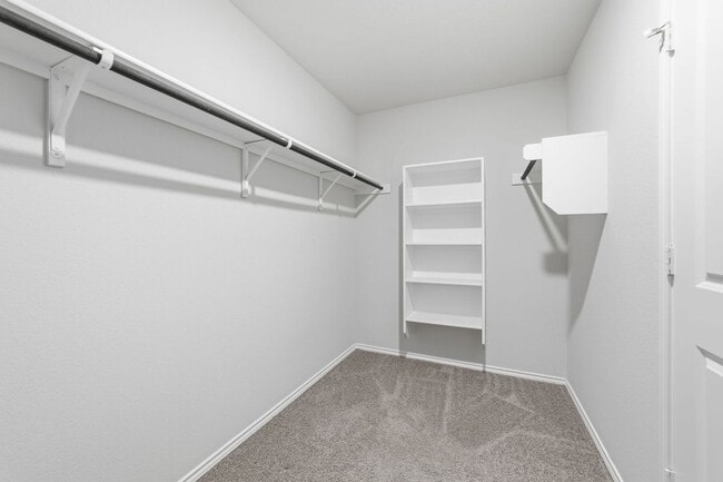 Photo - 10019 Bur Sedge