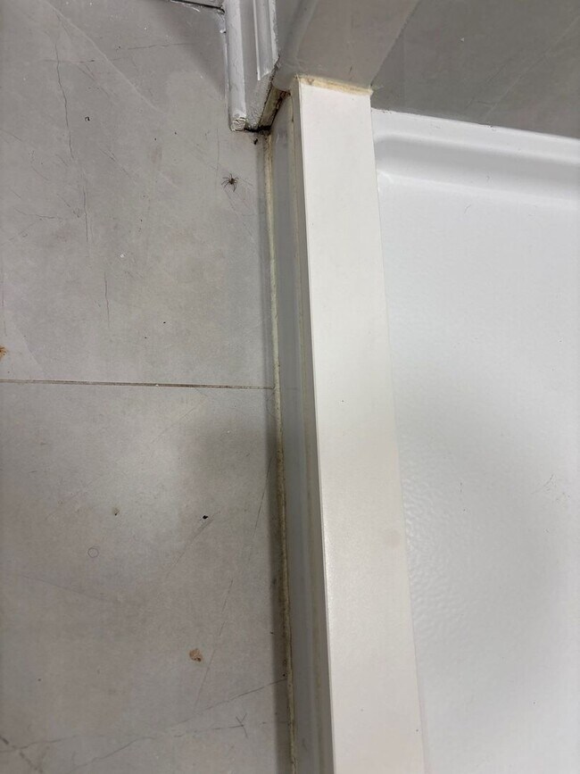 Photo - 1805-1807 Brookside Ave Independence, MO 64052 Unit 1807 Brookside Ave