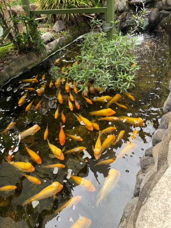 Photo - 111 Kahului Beach Rd Unit C-303