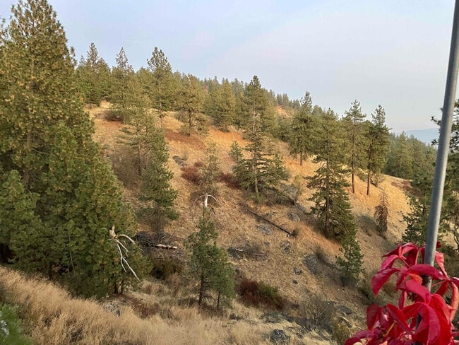 Photo - 19602 E Onyx Ln