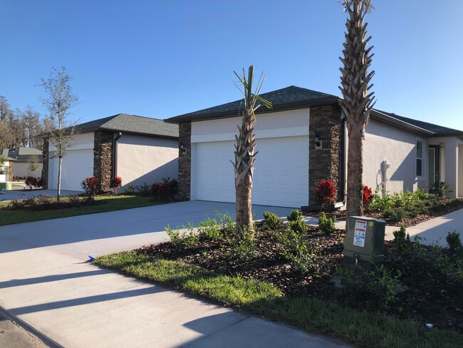 The Oasis at Hunter's Ridge 55+