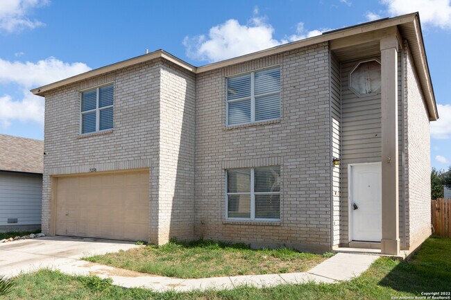 Photo - 7230 Dwarf Palm